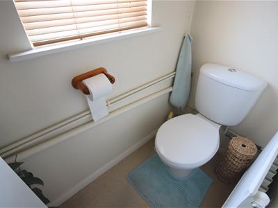 Picture 8